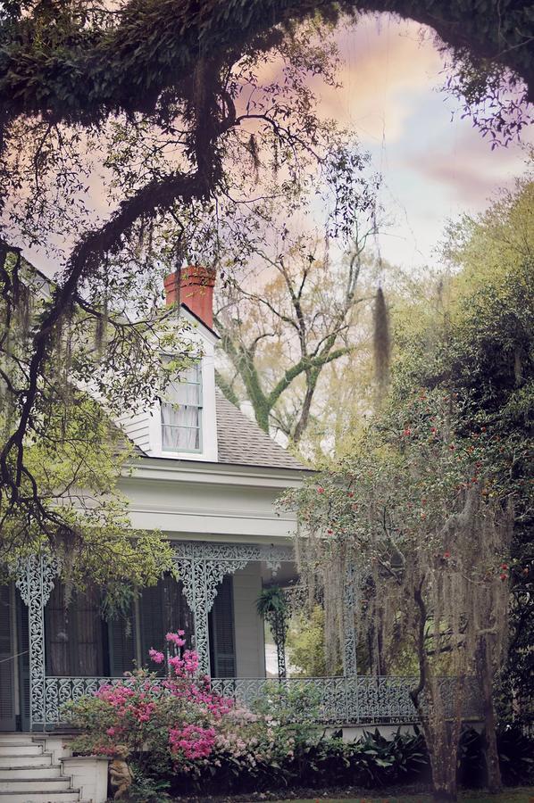 The Myrtles Bed & Breakfast Saint Francisville Bagian luar foto